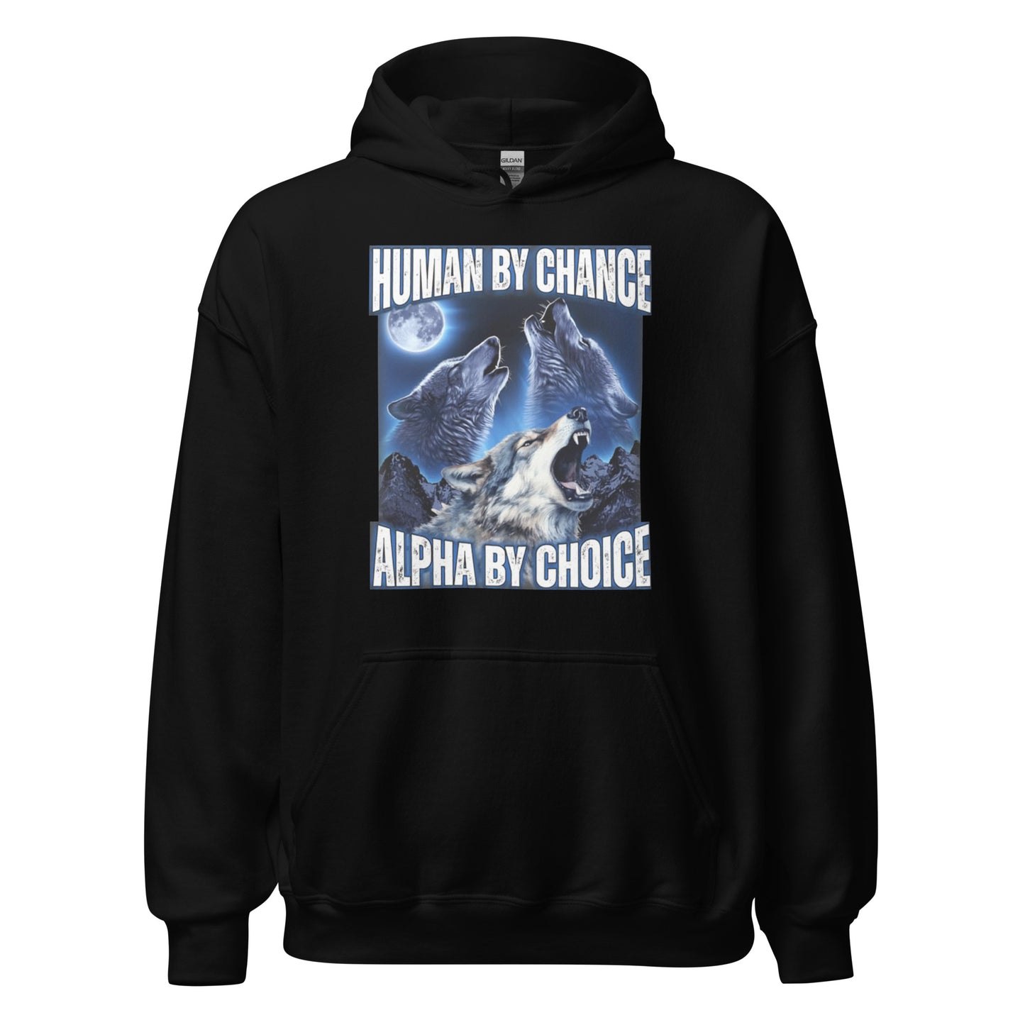 ALPHA BY CHOICE HOODIE