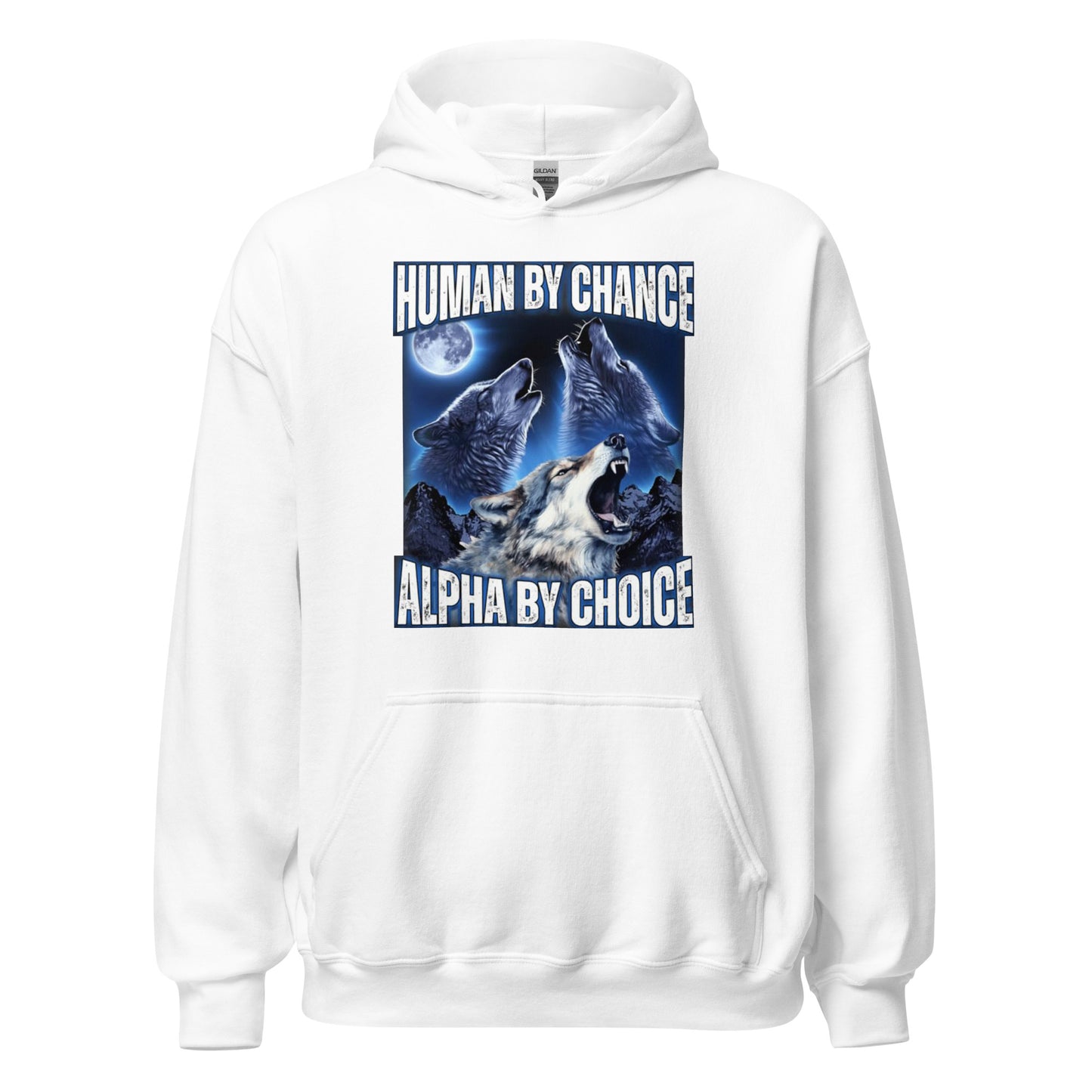 ALPHA BY CHOICE HOODIE